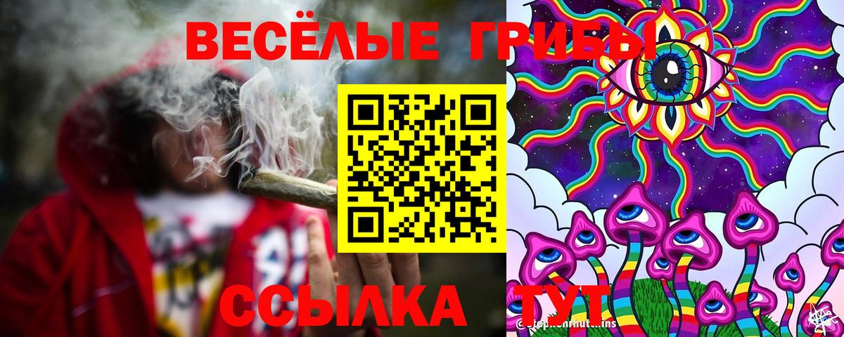 Нальчик  Псилоцибиновые грибы мицелий  Вход с VPN 